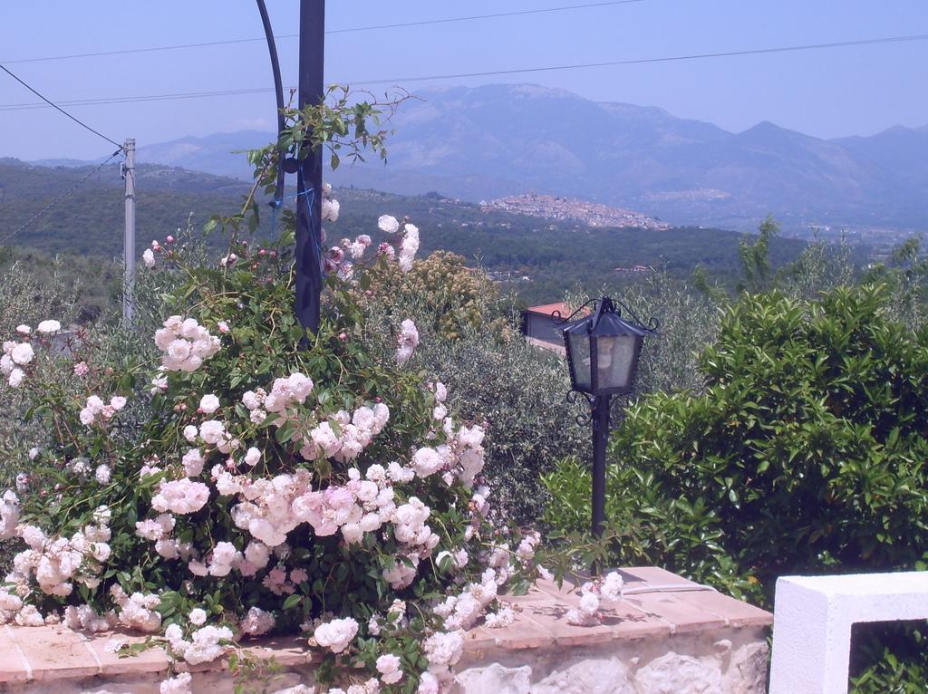 B&B H.M. Sonnino Exterior photo